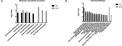 Label-Free Liquid Chromatography–Mass Spectrometry Proteomic Analysis of the Urinary Proteome for Measuring the Escitalopram Treatment Response From Major Depressive Disorder